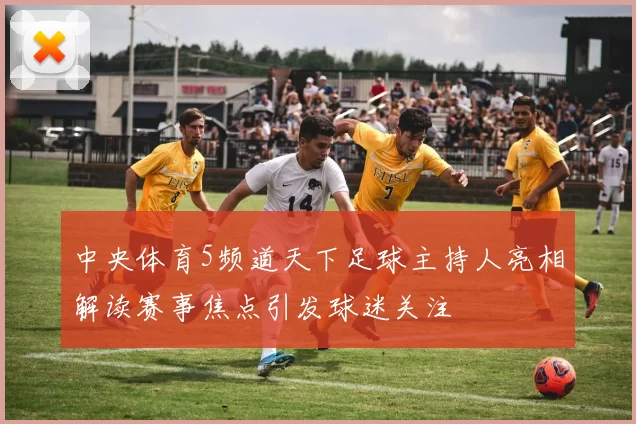 中央体育5频道天下足球主持人亮相解读赛事焦点引发球迷关注