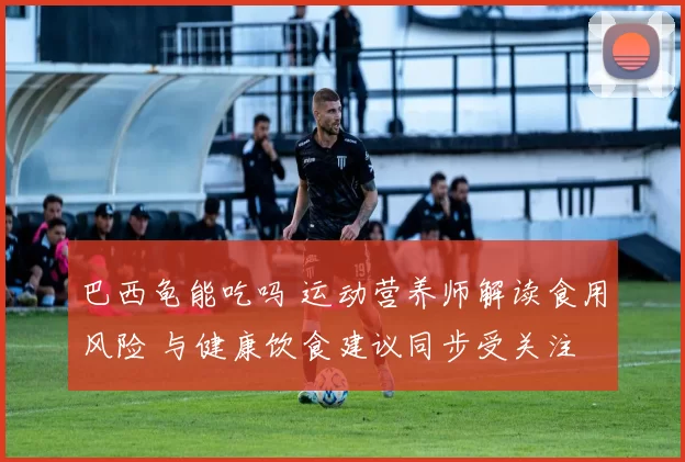 巴西龟能吃吗 运动营养师解读食用风险 与健康饮食建议同步受关注