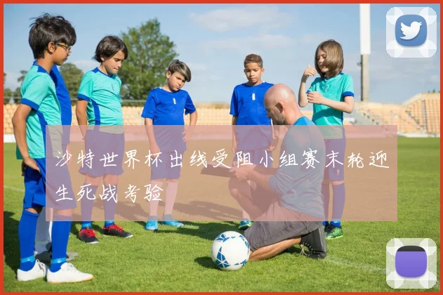 沙特世界杯出线受阻小组赛末轮迎生死战考验
